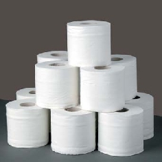 <i>girl</i>: The story of a girl, her mother, her sister.  And toilet paper